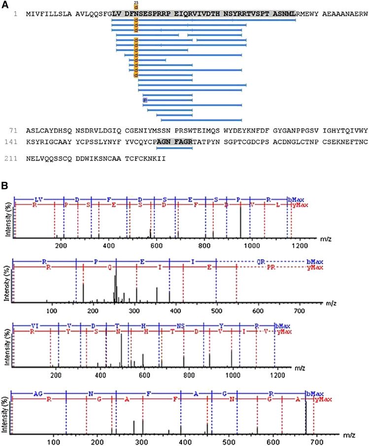 FIGURE 2