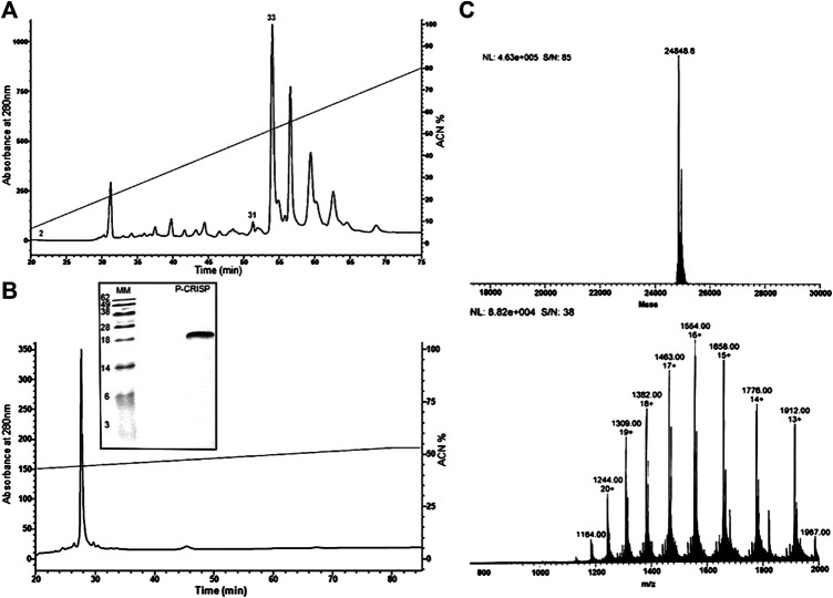 FIGURE 1