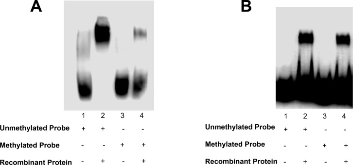 Fig 10