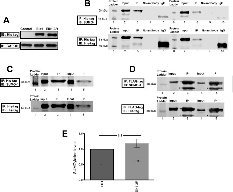 Fig 9