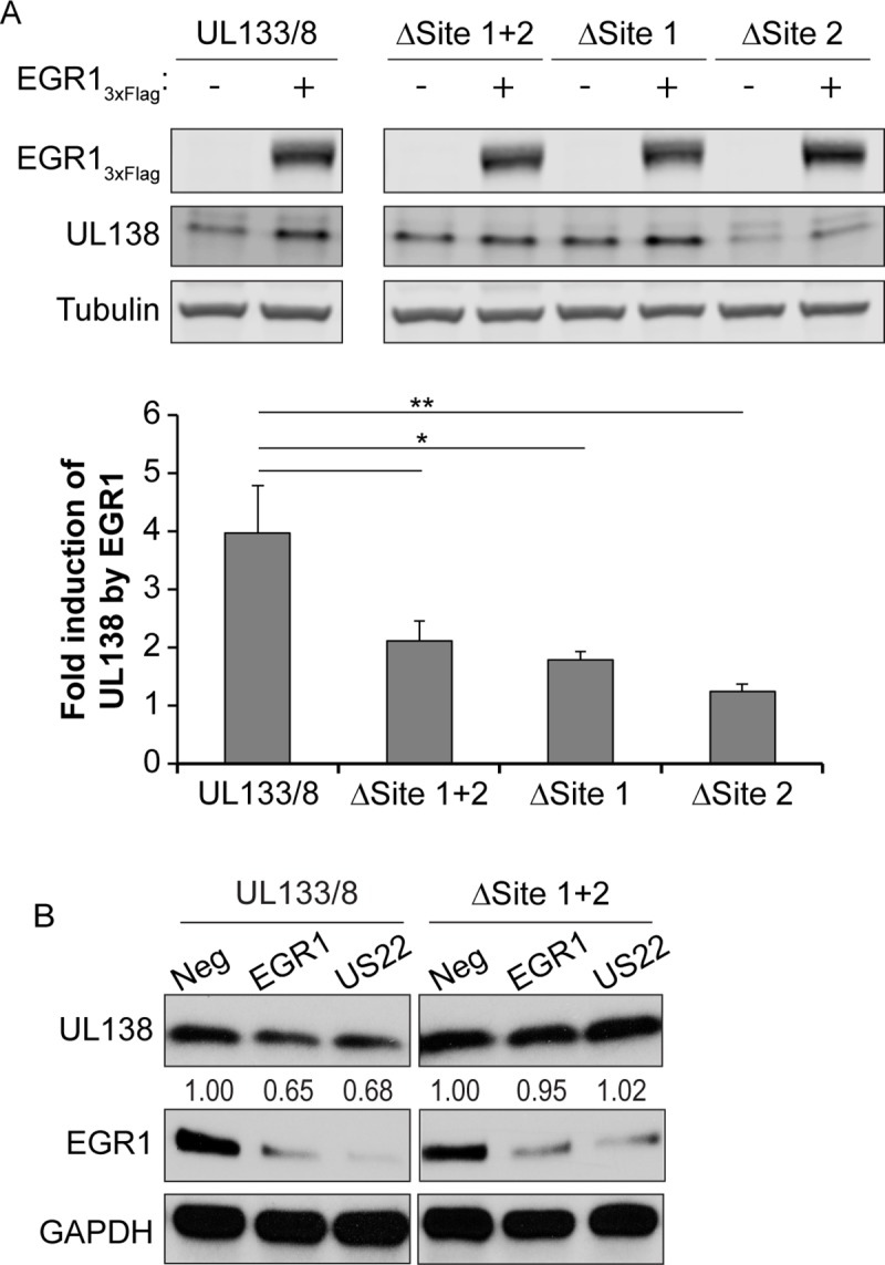 Fig 8