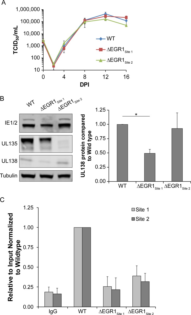 Fig 9