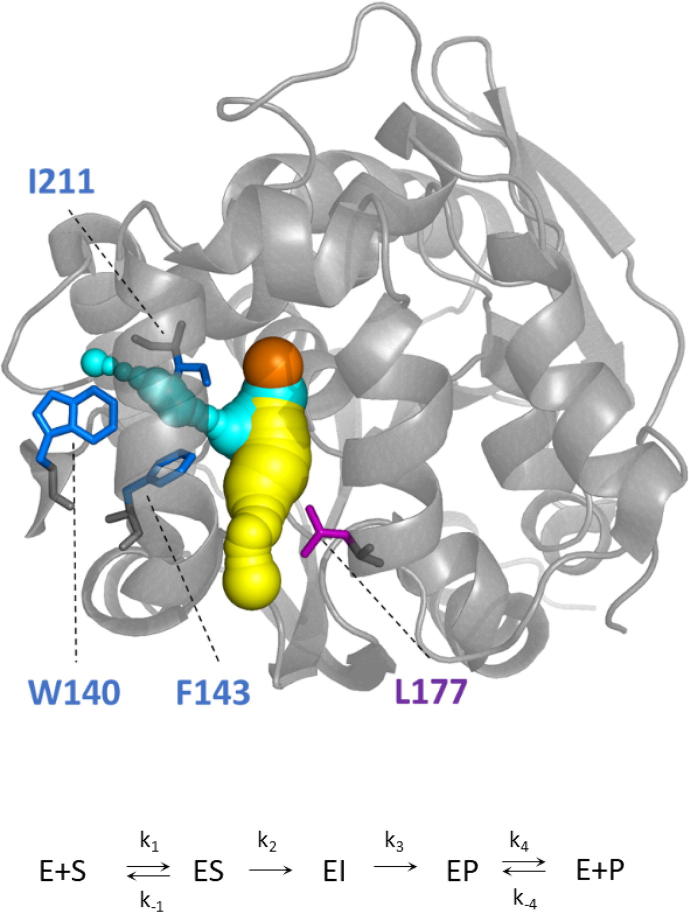 Fig. 1