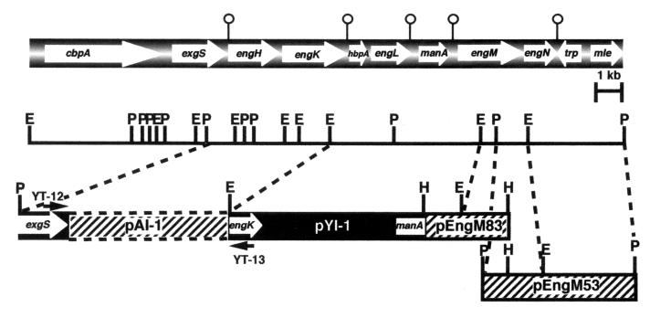 FIG. 1