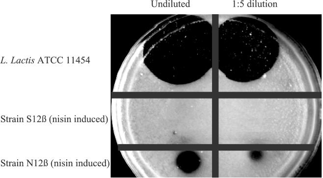 FIG. 5.