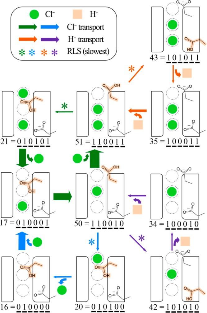 Figure 9