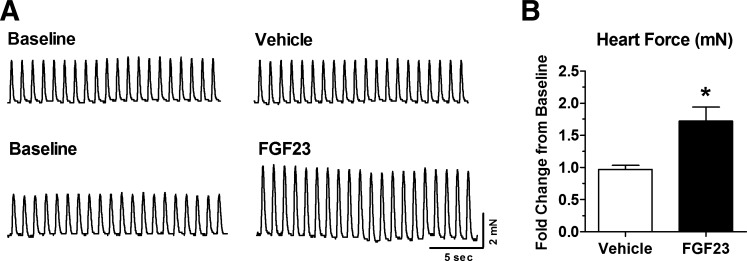 Fig. 8.