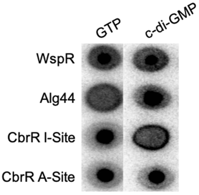 Figure 10