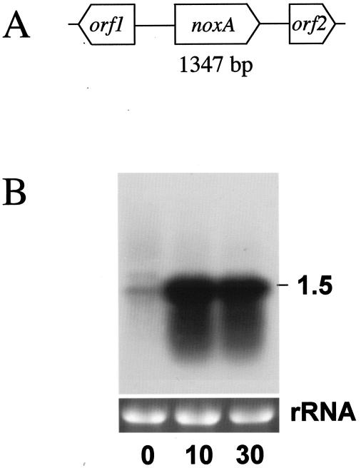 FIG. 1.