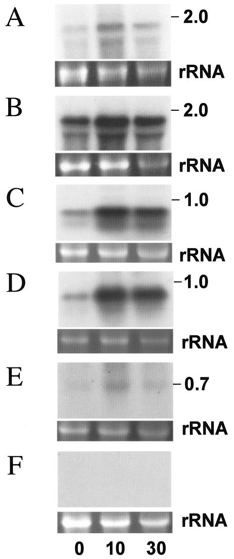 FIG. 5.