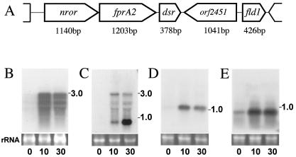 FIG. 2.