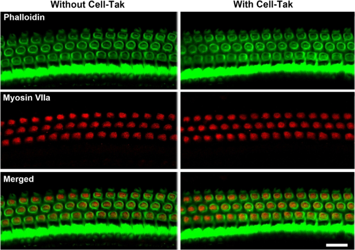 Figure 5: