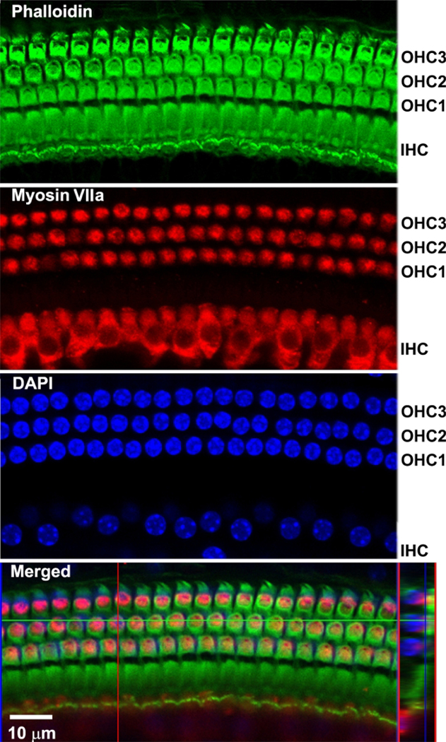 Figure 4: