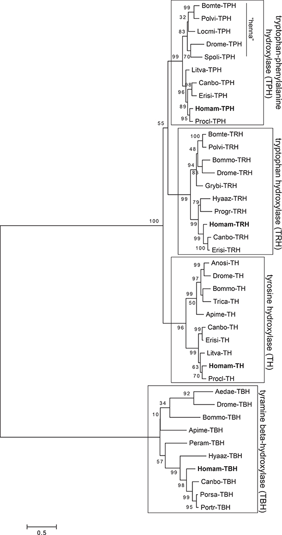 Figure 13.