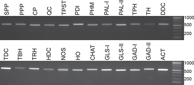 Figure 12.