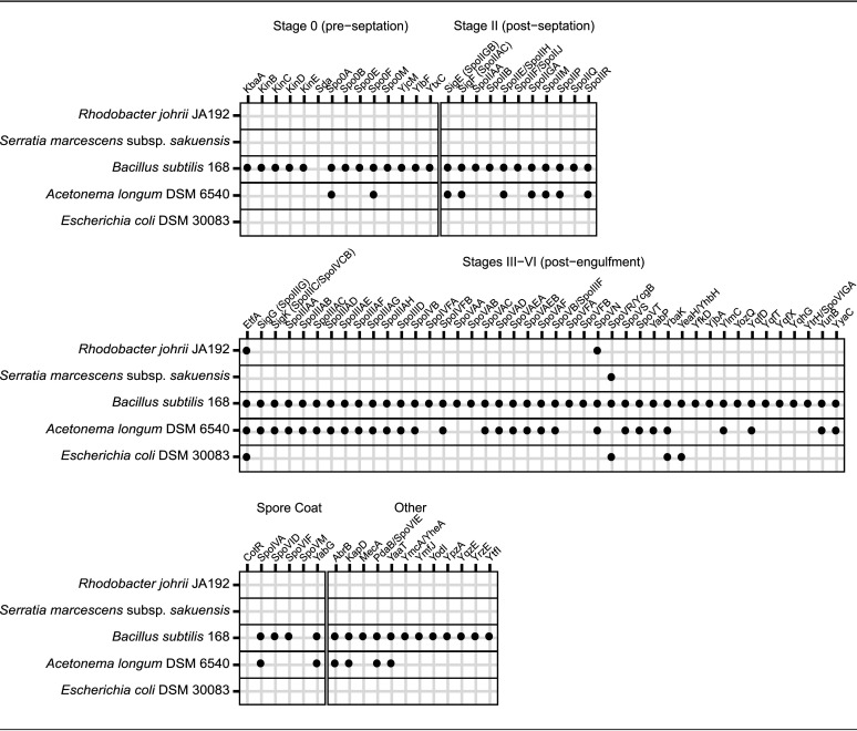 graphic file with name AEM.02312-20-t0002.jpg