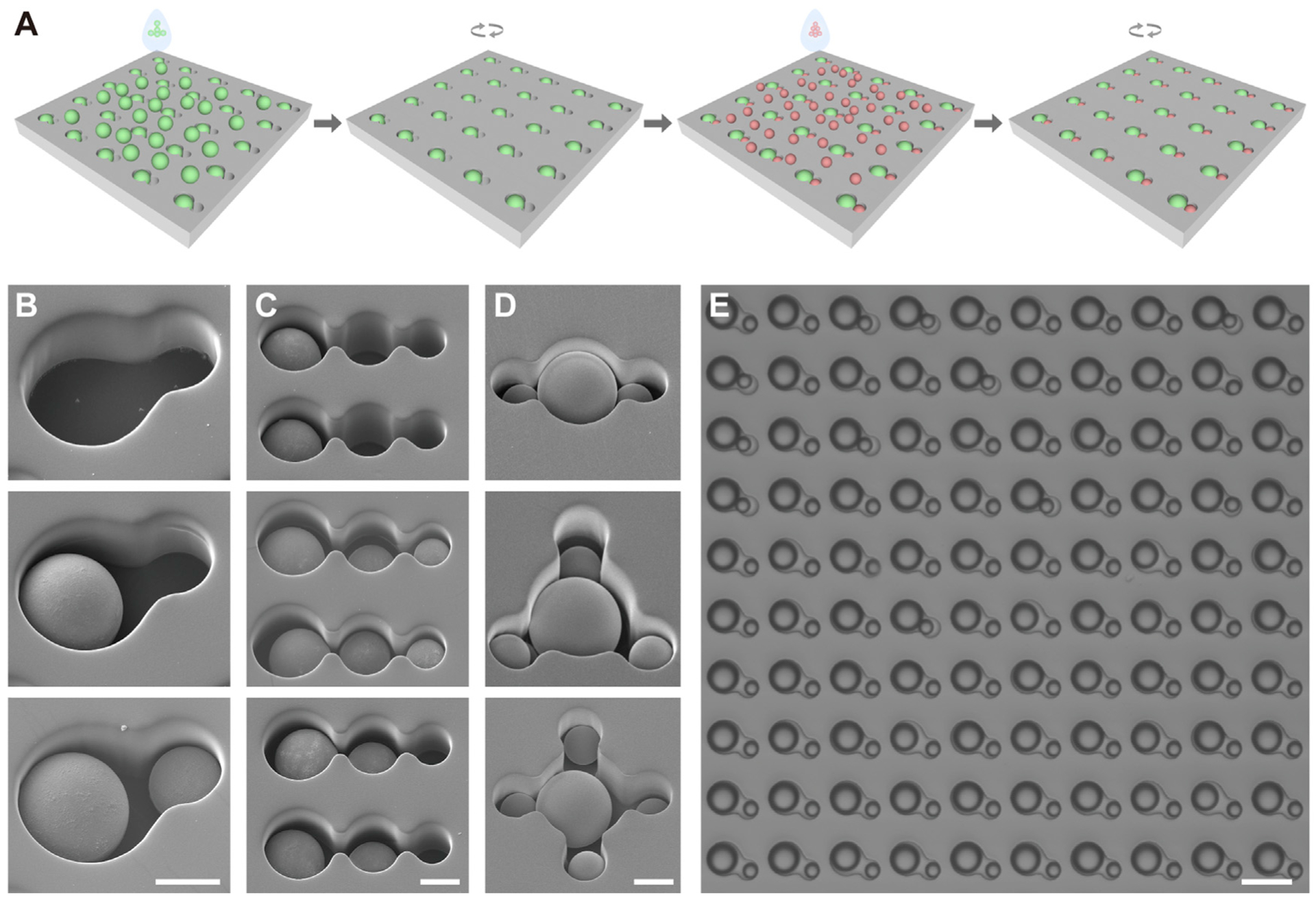 Figure 1.