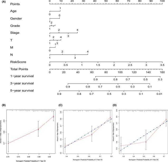 FIGURE 4