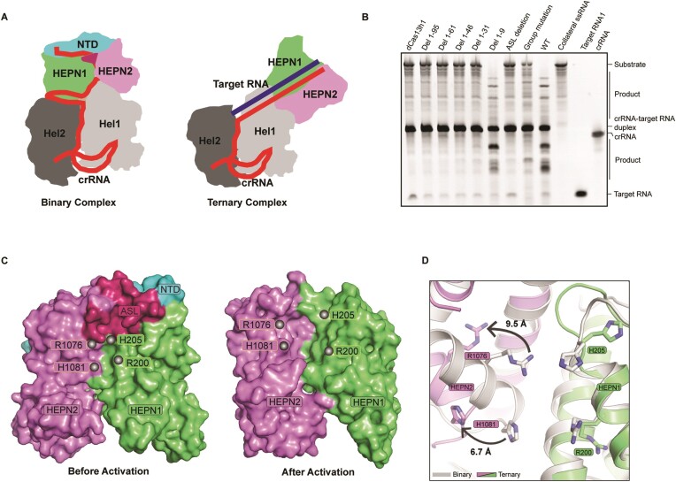 Figure 6.