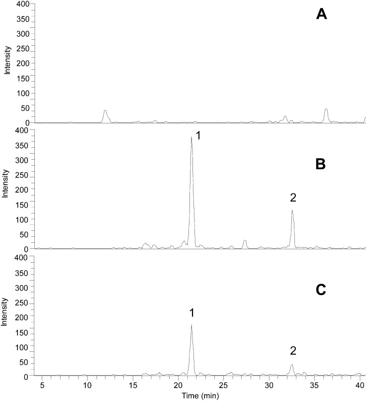 Figure 6.