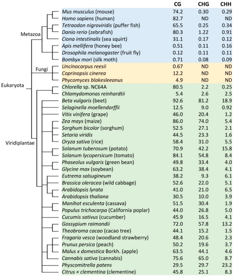 Dynamic DNA Methylation in Plant Growth and Development - PMC