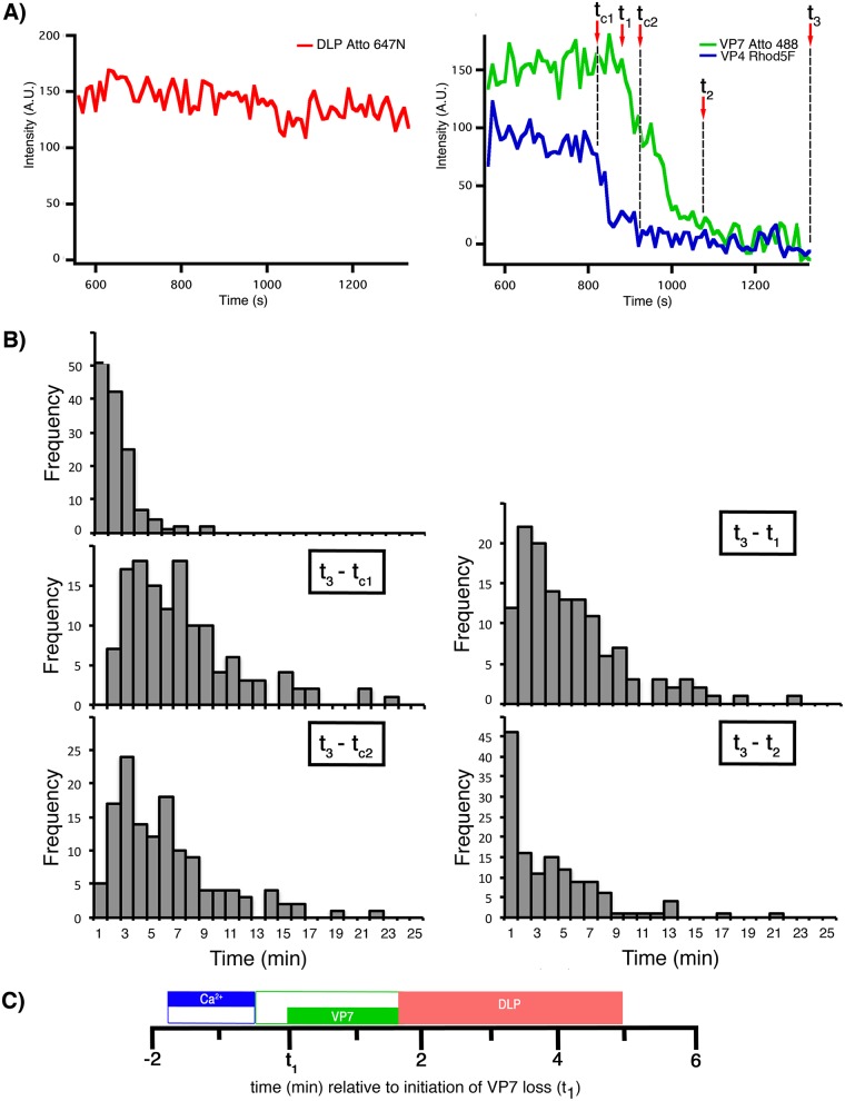 FIG 11