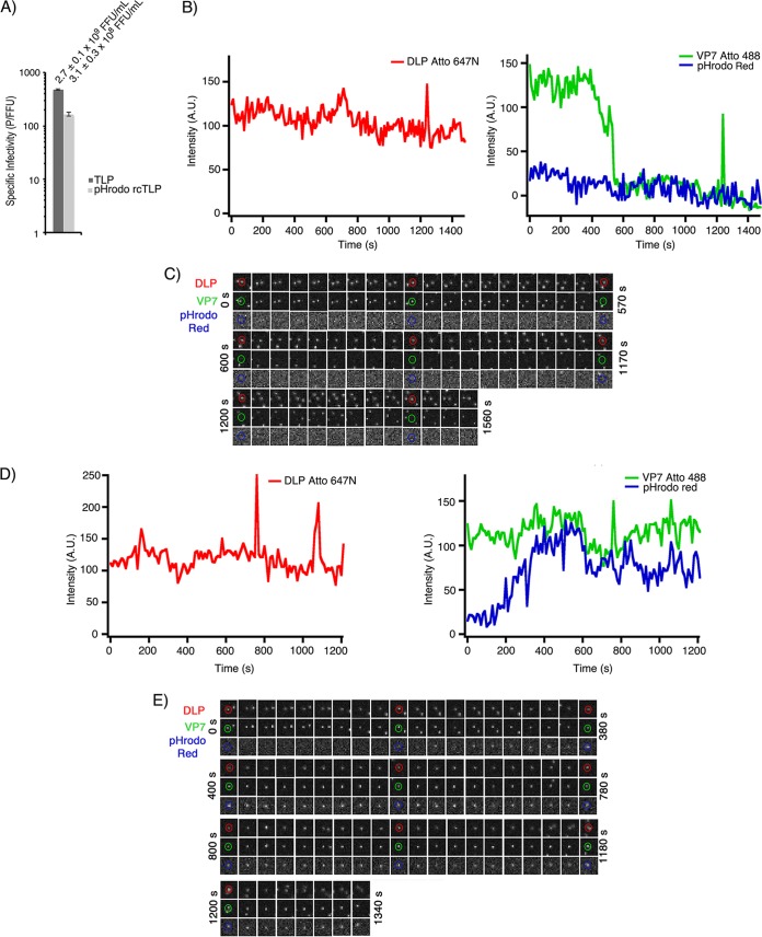 FIG 4