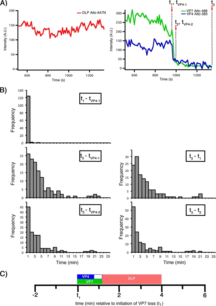 FIG 3