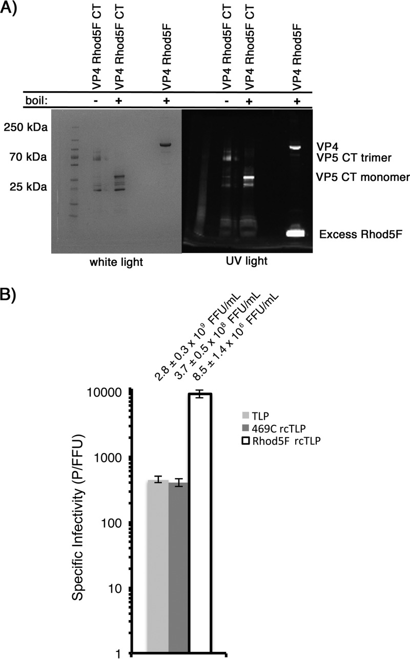 FIG 8