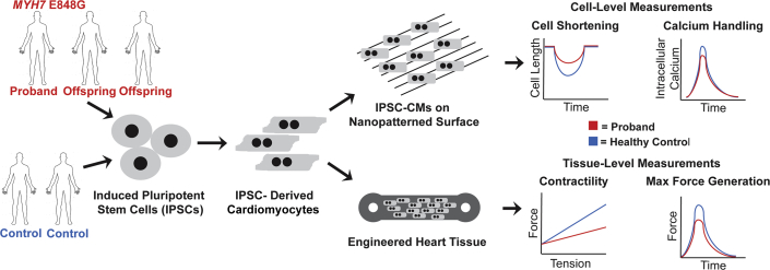 Figure 1