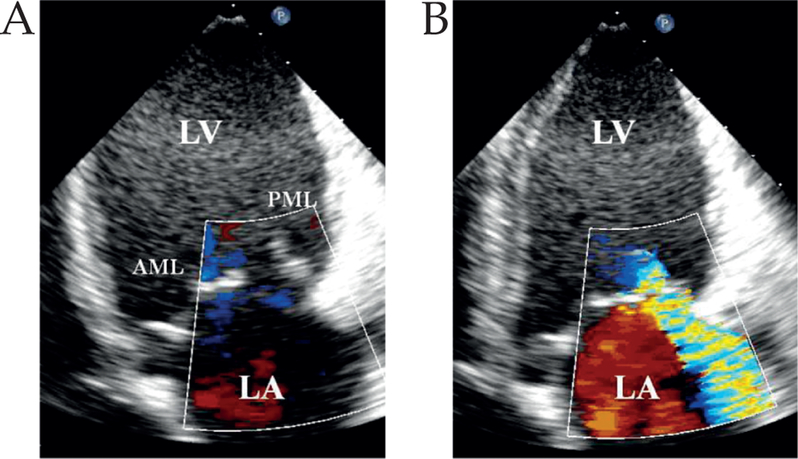 Figure 3: