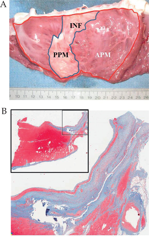 Figure 2: