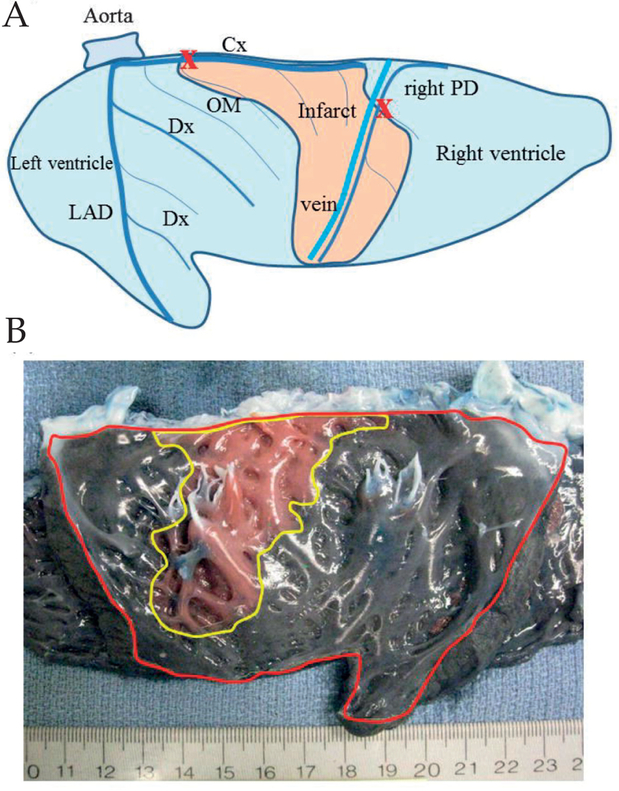 Figure 1: