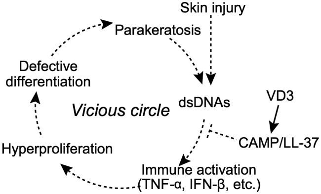 Fig. 6