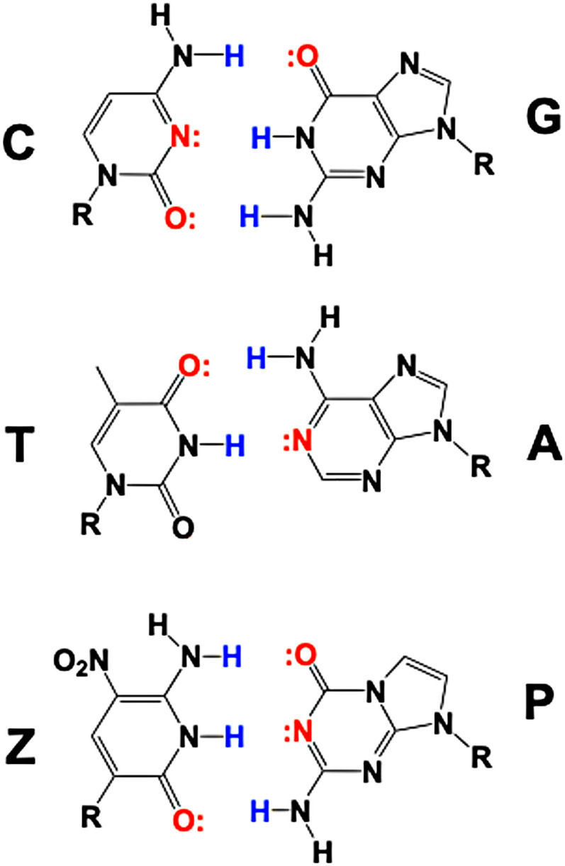 Fig. 1.