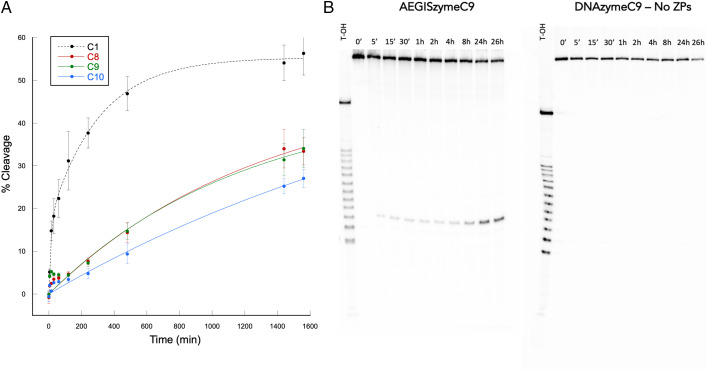 Fig. 7.