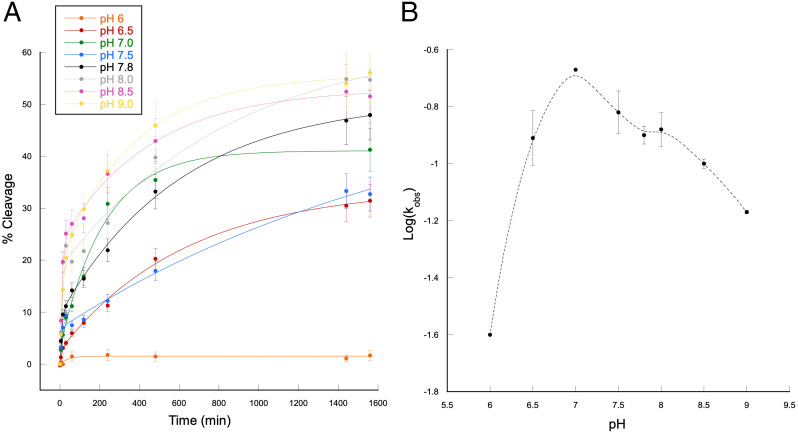 Fig. 8.