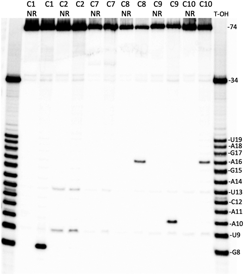 Fig. 4.