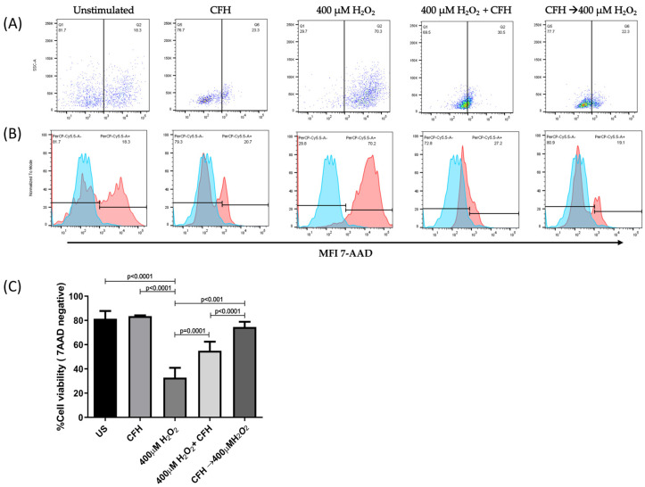 Figure 6