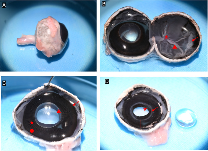 Fig. 2