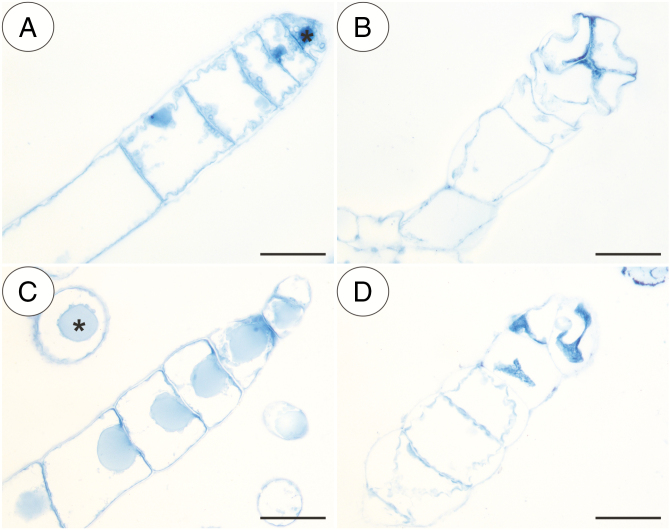 Fig. 8.