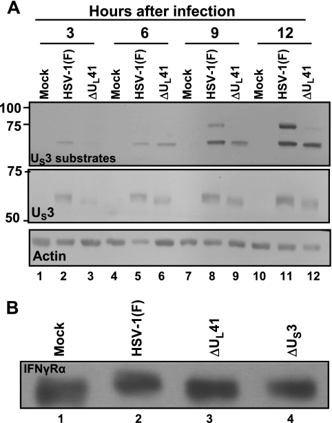 FIG. 5.