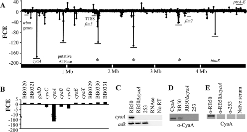 FIG. 2.