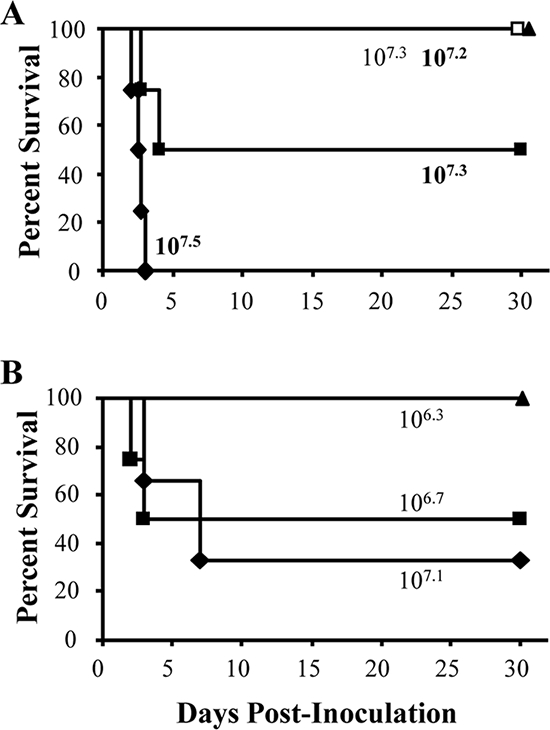 FIG. 5.