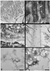 FIG. 9