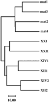FIG. 3