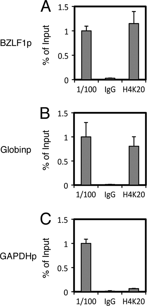 Fig 5