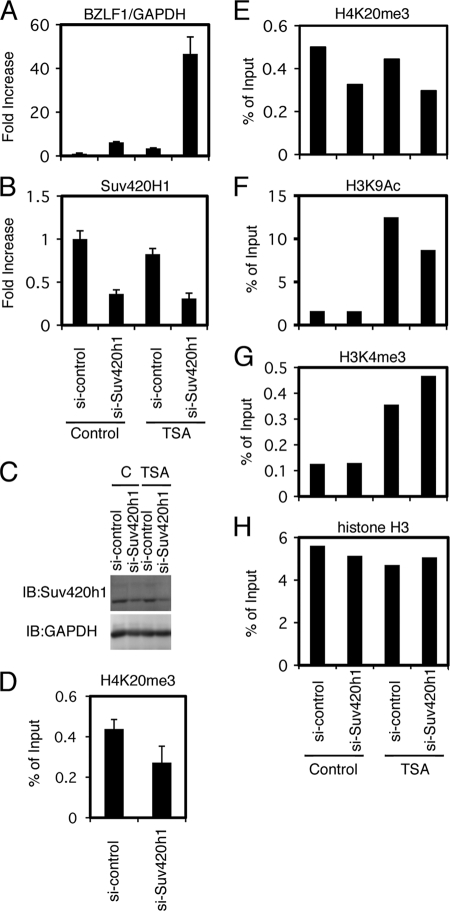 Fig 10