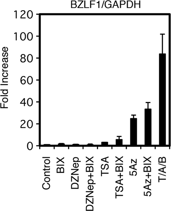 Fig 11