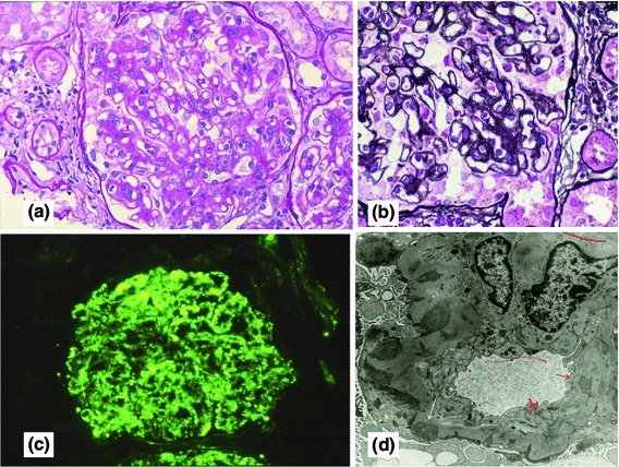 Fig. 2